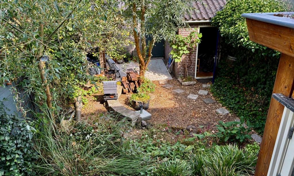 Garden aerial view