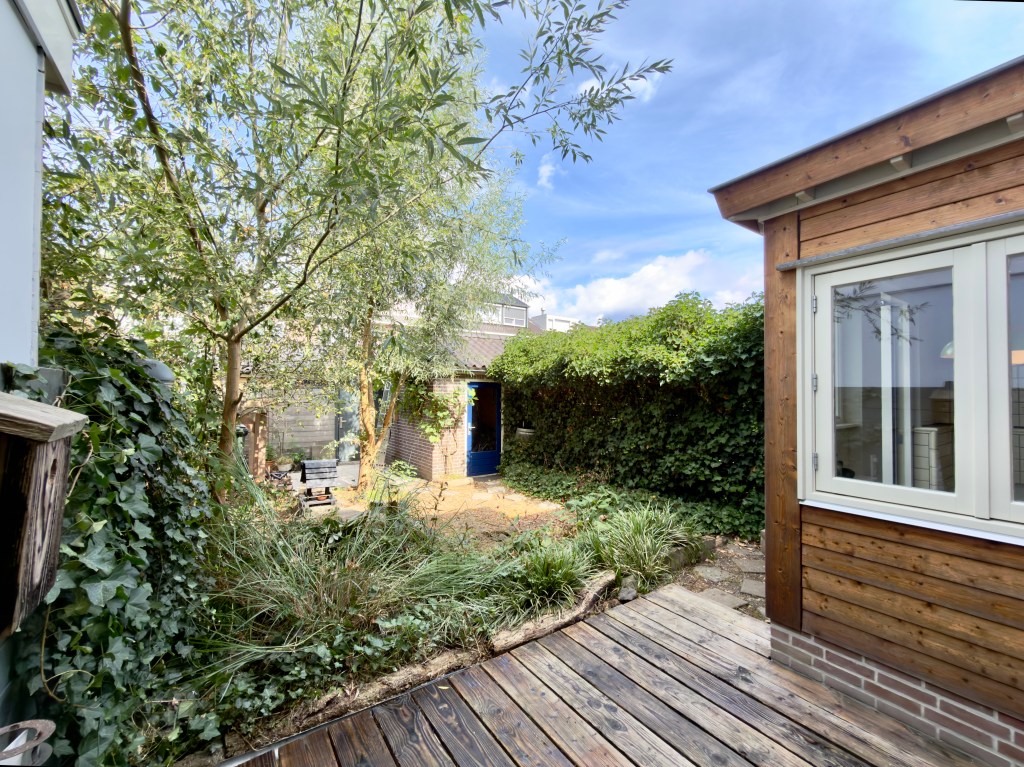 Back garden