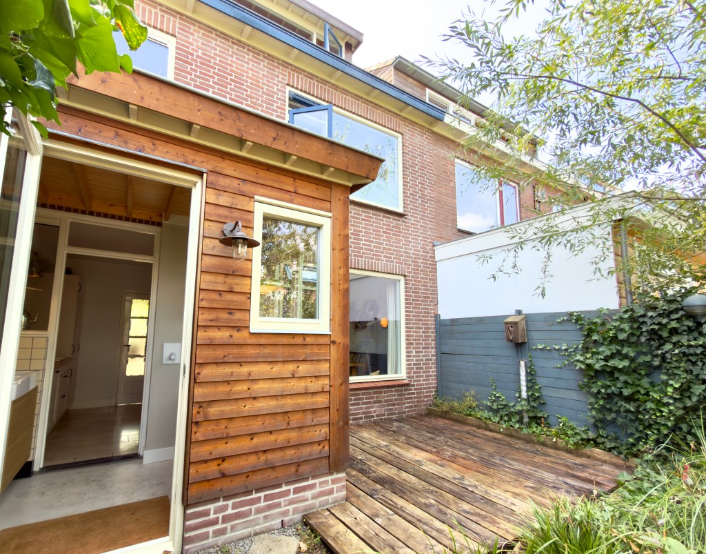 Back garden