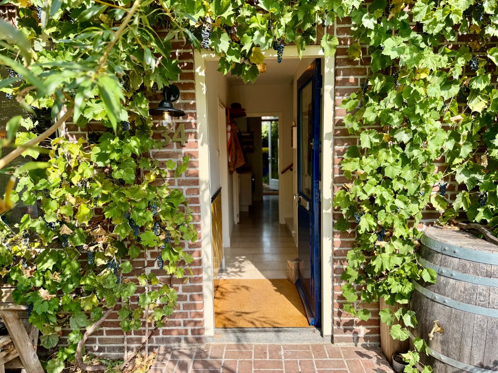 Front exterior