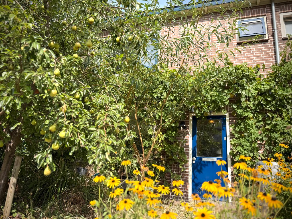 Front exterior
